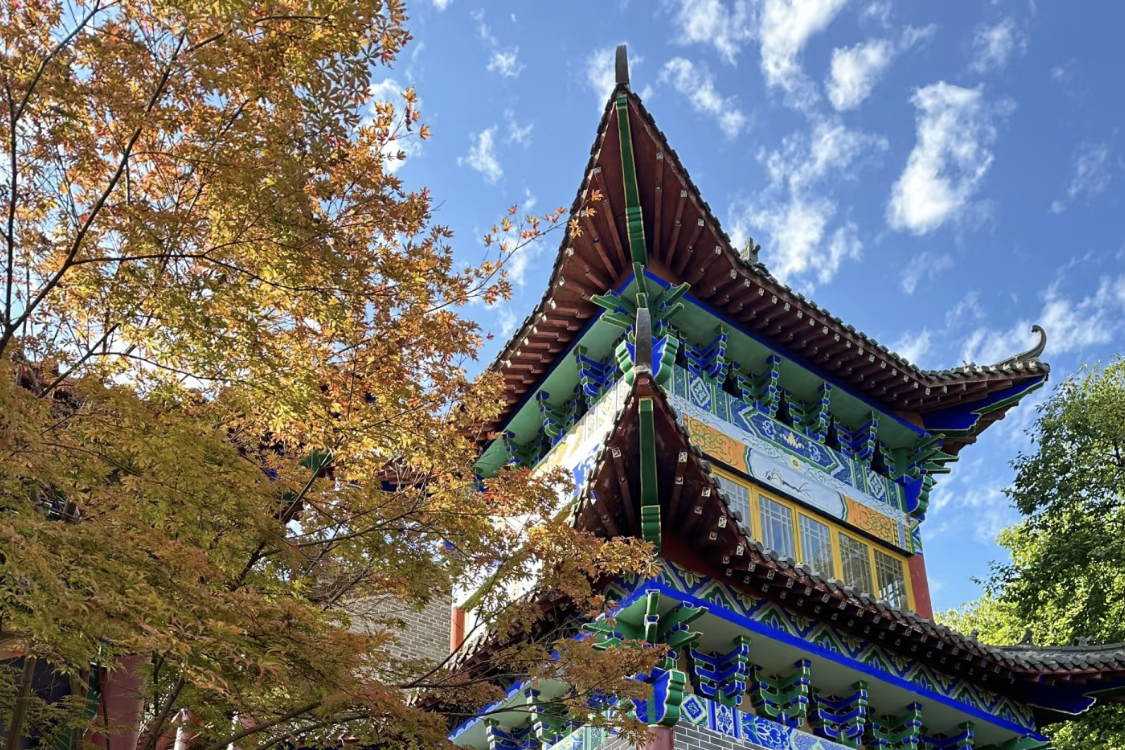 Huangcangyu