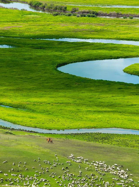  Hulunbuir Grassland